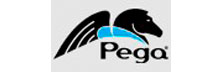Pegasystems